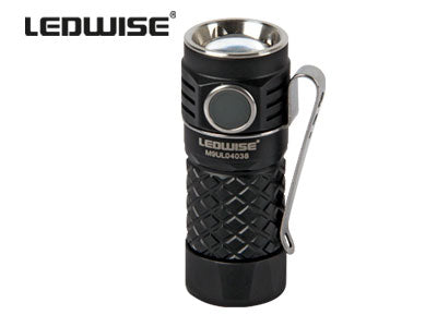 LEDWISE ROGUE LED professional lamp, working time up to 70 min