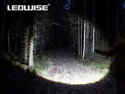 LEDWISE ROGUE LED profesionāls lukturis, darba laiks līdz 70 min
