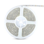 Hind 5m_4W/m(70Lm/m) 0.29A/m LED RGB lint, V-TAC, veekindel IP65, 12V,