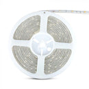 Price for 5m_6W/m(500Lm/m) 30 LED strip, 12V, V-TAC, IP65, warm white light 3000K