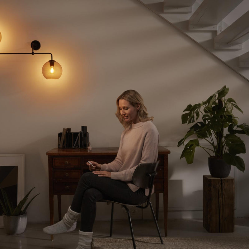 LEDVANCE VINTAGE 1906 sienas-griestu gaismeklis, E27, IP20, dūmu pelēks, stikla