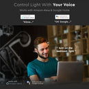 E27 4.5W(300Lm) LED SMART Spuldze G45, V-TAC, saderīga ar Amazon Alexa un Google Home aplikācijām, RGB+WW+CW