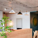 Hanging lamp frame, metal/wood, D350, V-TAC