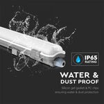 22W(2000Lm) 150cm LED T8 lamp, IP65 waterproof, V-TAC, cold white light 6400K