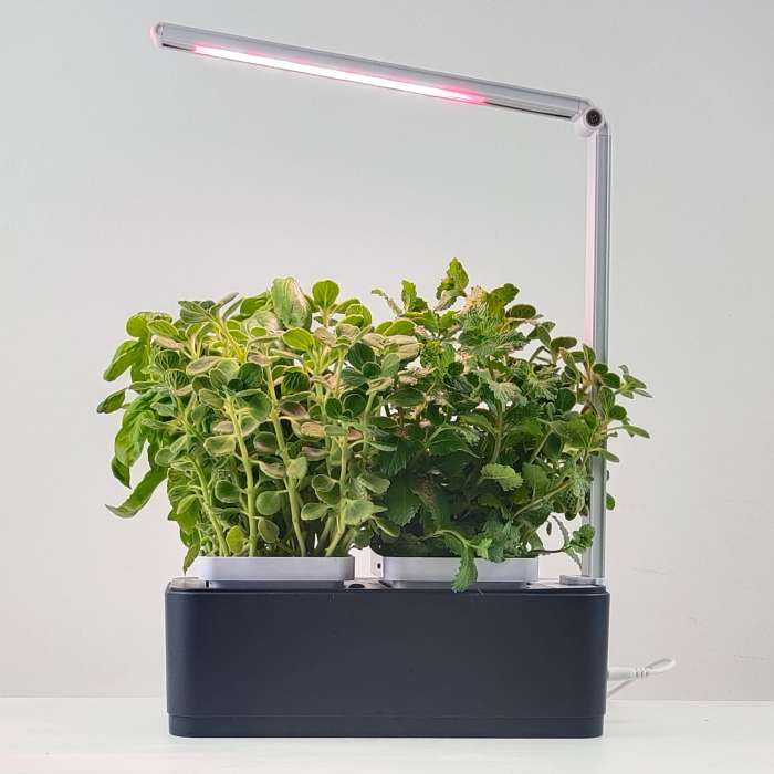6.5W gudrais mājas dārzs augu audzēšanai ar LED lampu, pelēks, 26*11.5*38.5 cm, 7 sarkanas un 10 baltas diodes