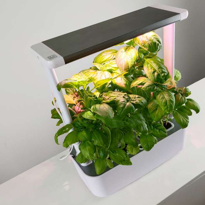 10W smart home garden for growing plants with LED lamp, white (8 pots), 30*13*43cm, light color red/white