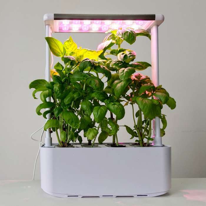 10W smart home garden for growing plants with LED lamp, white (8 pots), 30*13*43cm, light color red/white