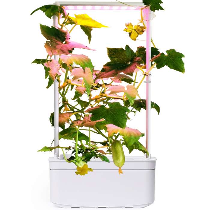 10W Smart Home Garden LED kasvulambiga, valge (6 potti), 30*13*46cm, valguse värvus punane/valge, veemaht 2,5 liitrit.