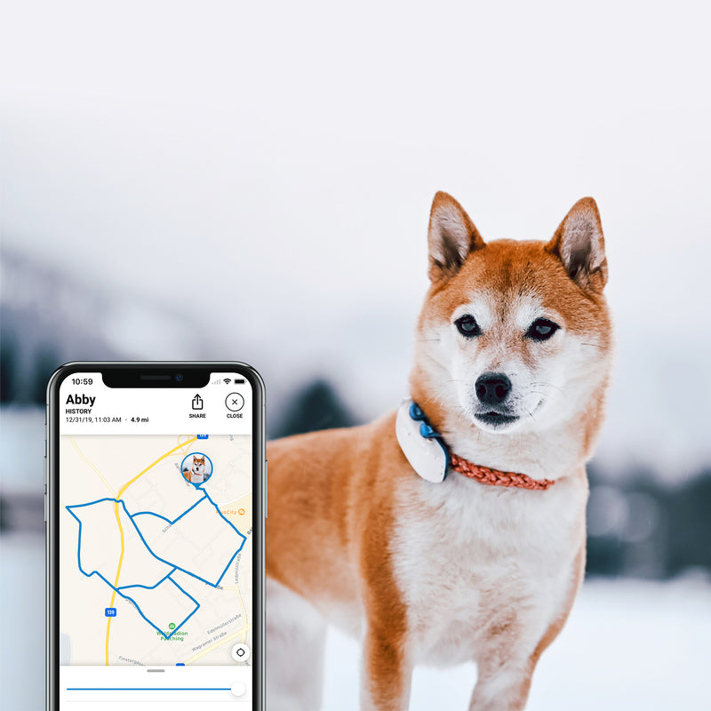 Tractive GPS izsekotājs suņiem (apraksts tehniskajā specifikācijā), balts, nepieciešama abonēšana, skatīt aplikācijā