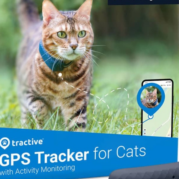 Tractive GPS izsekotājs kaķiem, ieteicams ar svaru virs 4 kg  (apraksts tehniskajā specifikācijā), balts, nepieciešama abonēšana, skatīt aplikācijā
